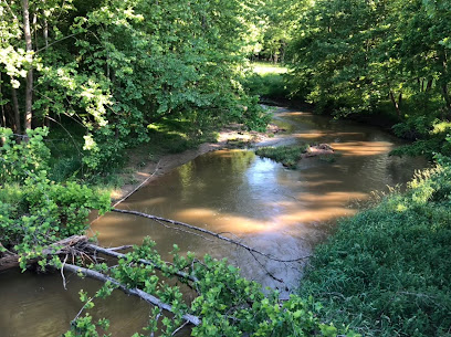 Shaded creek bend with muddy water, fallen branches, and dense green trees in Great Seneca Stream Valley Park