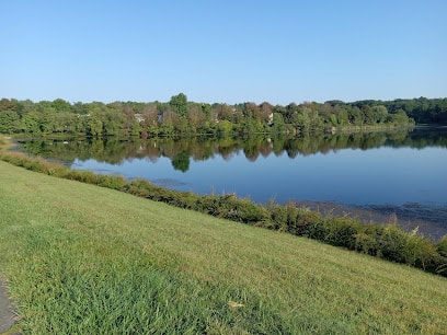 Grassy lakeshore overlooking calm Gunners Lake with tree-lined shore reflected in clear water under a blue sky